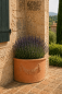 Preview: Angoliera festonata – pot mural d’angle décoratif, style toscan, résistant au gel